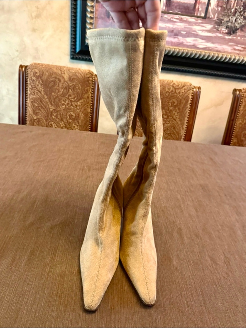 Suede Pointed-Toe Knee-High Boots in Tan